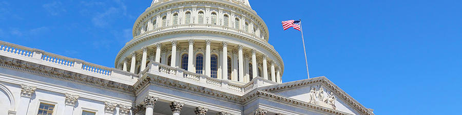 Outside the State Capital in Washington D.C.