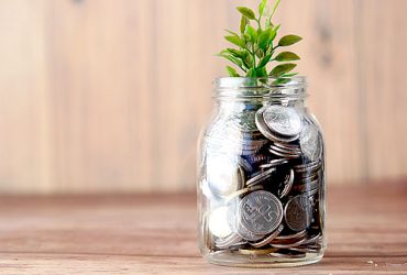 Jar of coins with foliage sprouting from top of jar